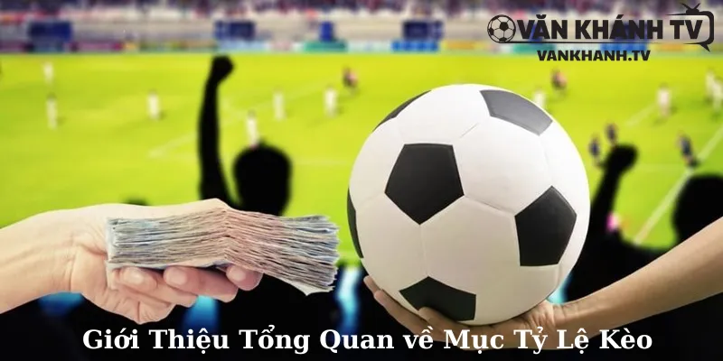 Giới Thiệu Tổng Quan về Mục Tỷ Lệ Cược