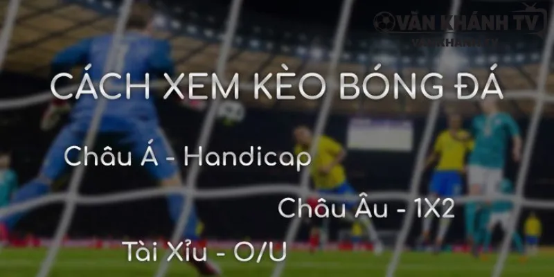 Hướng Dẫn Chi Tiết Cách Xem Tỷ Lệ Cược